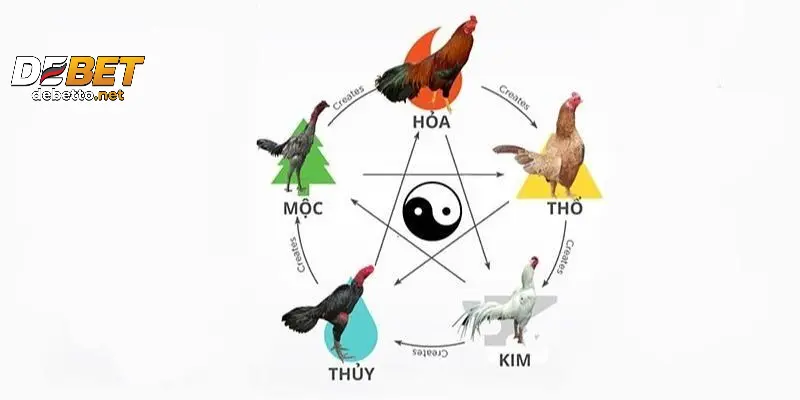 Khái niệm về màu mạng gà đá là gì?
